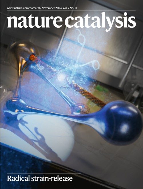 Nature Catalysis