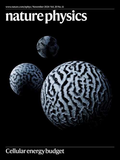 Nature Physicsの表紙