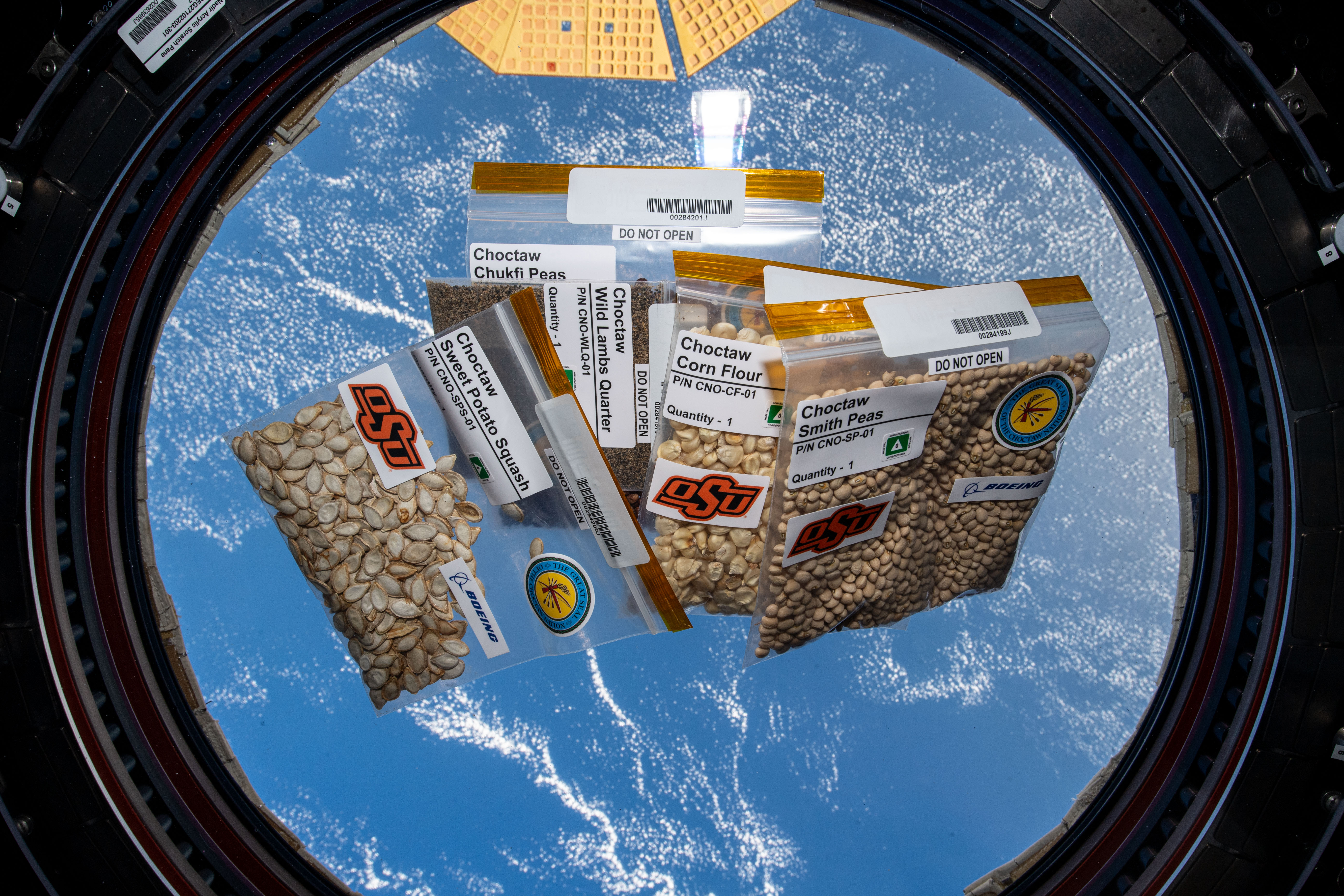 Five plastic baggies are floating in front of a window on the space station. Each baggie holds a different kind of seed with a corresponding label on the outside. Some of the labels read “Choctaw Sweet Potato Squash,” “Choctaw Smith Peas,” and “Choctaw Corn Flour.”