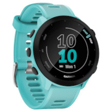 Garmin Forerunner 55 logo