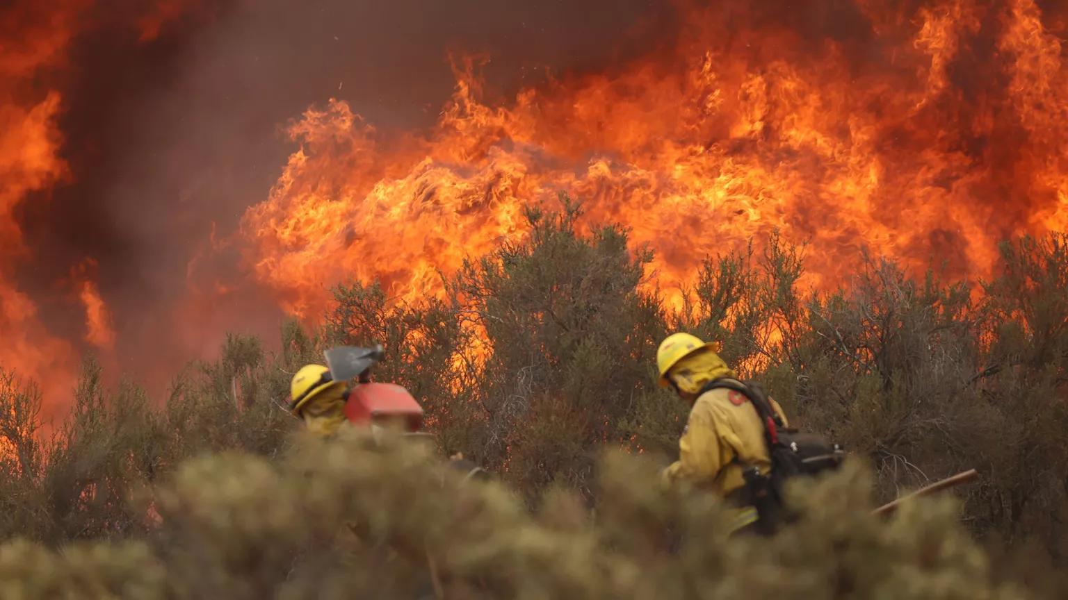 Two firefighters in the forefront surrounded by trees, with a blazing red forest fire behind them