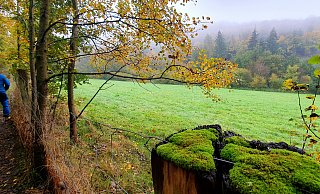 Herrlich geht es los in Richtung Waterboer - ein kleiner Pfad, ein wenig verwunschen. - Kurt Ehmke