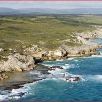 https://www.nature-reserve.co.za/images/de-hoop-coastline-786x500.jpg