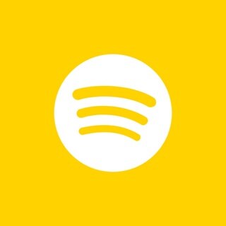 SWR1 Icons Social Media Spotify