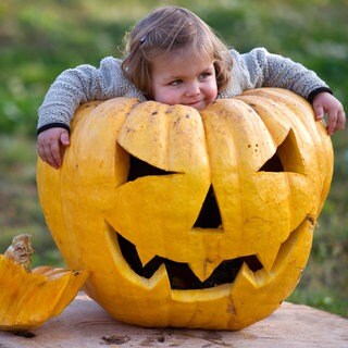 31. Oktober: Süßes oder Saures! Heute Abend ziehen wieder viele Kinder durch die Straßen. Diese kleine Maus aus Frankfurt (Oder) hat aber eine ganz neue Verwendung für den großen Halloween-Kürbis entdeckt. In diesem Sinne: Happy Halloween!