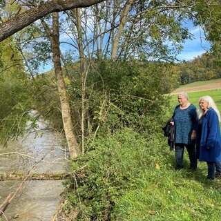 Der Michelbach bei Gerabronn im Landkreis Schwäbisch Hall.