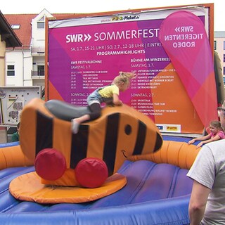 Zum SWR Sommerfestival nach Ingelheim kamen rund 30.000 Menschen. Dort konnten sie den Sender, seine Programme und Moderatoren kennenlernen. Ein Highlight: Das Konzert von Howad Carpendale am Sonntagabend.