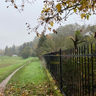 Das Gonsbachtal in Mainz an einem nebligen Tag im Ende Oktober. 