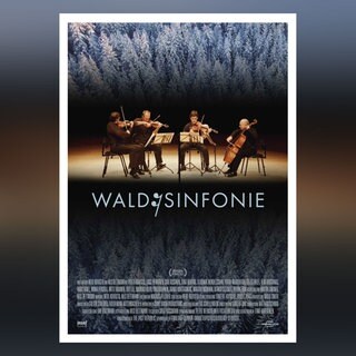 Poster des Films „Wald:Sinfonie“