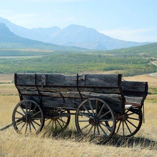 Alter Holzwagen in der Prärie: Im Western kommt die Wagenrad-Illusion besonders häufig vor. Der Wagen fährt, aber die Speichen scheinen sich rückwärts zu drehen. Was ist der Grund?