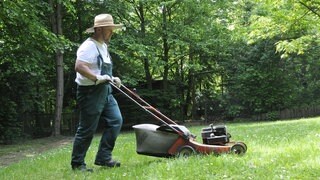 Mann im Garten mit einem Rasenmäher