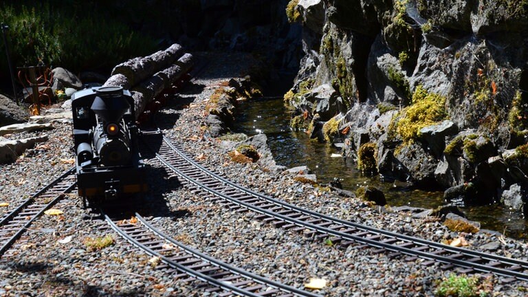 Vor allem Holz wird transportiert auf der kleinen Nebenbahn. Eine Ausweichstelle ist mitten in der Schlucht.