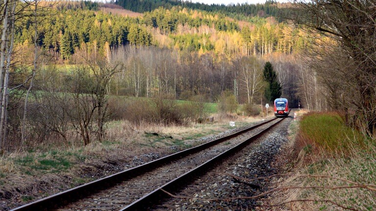 Nationalparkbahn Waldidylle