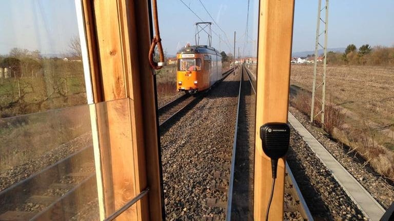 Durch die Weinberge geht es zweispurig mit Gegenverkehr.