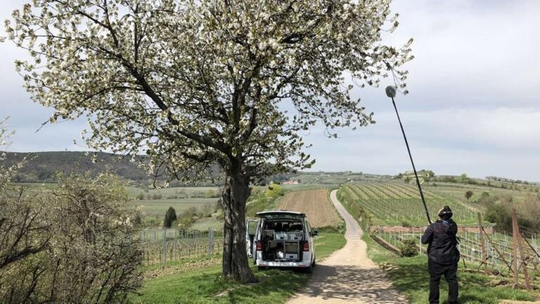 Neben den Bahnen sind jetzt auch Bienen zu hören ...