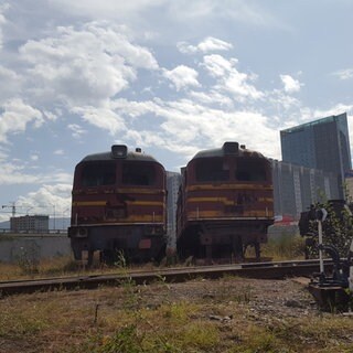 Manche würden diesen Ort als Eisenbahn-Schrottplatz bezeichnen. Für Kenner ist es ein Platz, auf dem Eisenbahngeschichte abgestellt wurde.