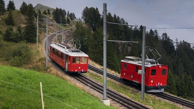 Parallelfahrt auf dem letzten Stück vor dem Gipfel: die Rigi-Bahner lieben dieses Schauspiel und wir auch. 