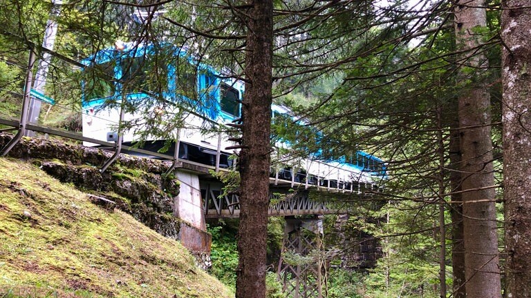 Auf der Nordseite der Rigi fährt die Bahn durch dichten Nadelwald, auf alten Brücken dicht an kleinen Wasserfällen vorbei. 