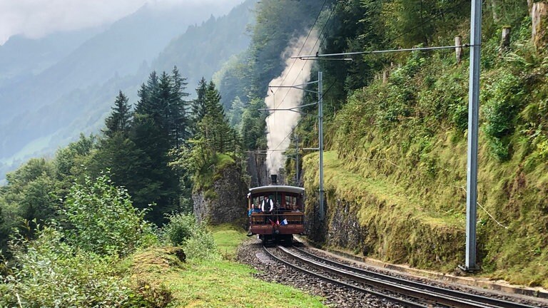 Lok 7 ist auch am Nordhang der Rigi unterwegs, hier gerade an der Kräbelwand.