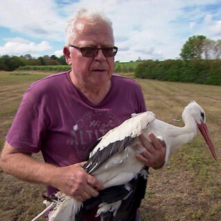 Helmut Weber ist der Greifvogel-Retter