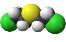 Towards new mustard gas biomarkers