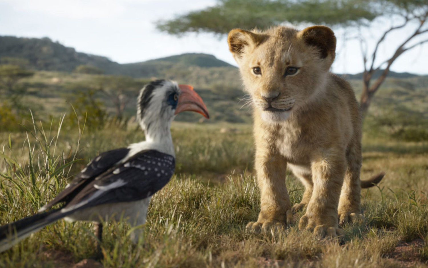 The Lion King's Zazu and Simba by Disney