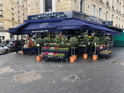 Monceau Fleurs - Fleuriste - Paris