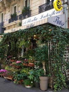 Aflorelia - Fleuriste - Paris