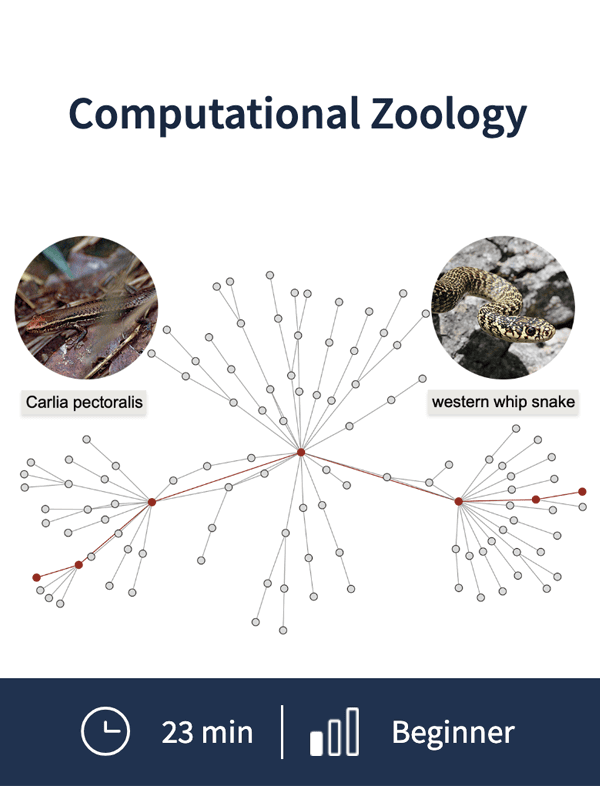 Computational Zoology Wolfram U course