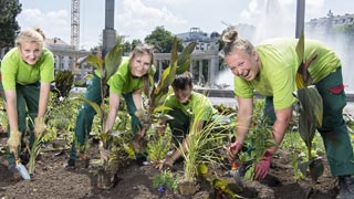 4 Jugendliche arbeiten in einem Blumenbeet