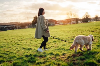 Long dog walks are one of the perks of country living