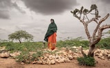 Nihimo Mohamed at the final resting place of her 10-month-old daughter Amira – but she has no idea which grave contains her child