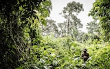 Felix Ouamouno, 11, stands on the spot near Meliandou village where patient zero contracted Ebola from a bat in 2013