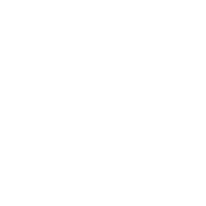 HR EXCELLENCE IN RESEARCH