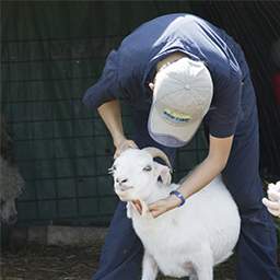 Farm hand with a young goat