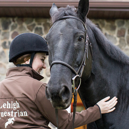 Equestrian with horse