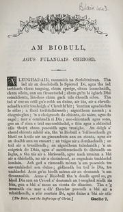 Cover of edition ambiobullagusful01reli