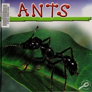 Cover of edition ants0000coop