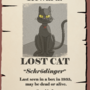 Schrodinger's cat