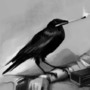 Helper Bird - 1 hr Value Study