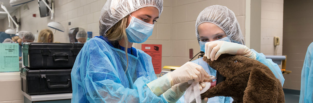 Veterinary students during their training.