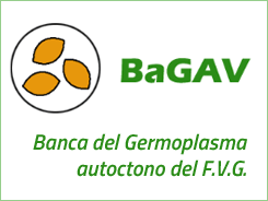 Banca del Germoplasma Autoctono del F.V.G.