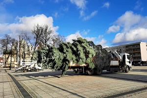 24.11.2023 r. Ustawianie choinki na pl. Biegaskiego w Czstochowie.