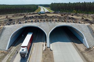 Budowa autostrady A18 w woj. lubuskim. Na 70 km odcinku powstanie 13 potnych przej dla zwierzt