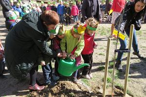 Sadzenie drzewek jaboni landsberskiej w Przedszkolu Miejskim nr 18 przy ul. uyckiej