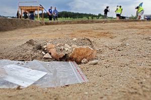 Stanowisko archeologiczne w Pniu pod Bydgoszcz 2023