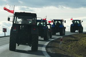 Protest rolnikw na DK8 w rejonie Kobierzyc niedaleko Wrocawia