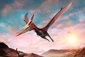 Pterozaur