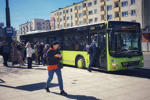 MZK, autobusy i tramwaje w Gorzowie, maj 2023 r.