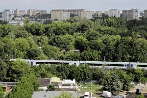 Ziele przy torach kolejowych wycisza haasy i zdobi miasto